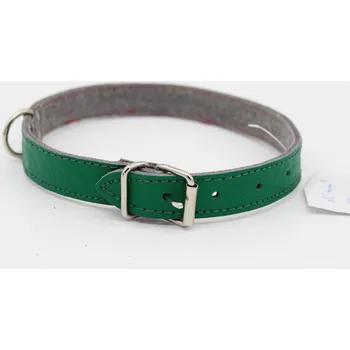 Obojek pro psa Kožený obojek DOLEŽEL 50cm zelená
