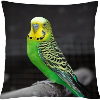 Polštář Polštář animal 64 - ANDULKA Mybesthome 40x40 cm Varianta: Povlak na polštář, 40x40 cm