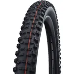 Schwalbe Hans Dampf Evolution…
