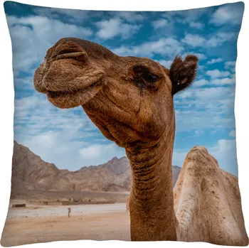 Polštář Polštář animal 67 VELBLOUD Mybesthome 40x40 cm Varianta: Povlak na polštář s prošívanou výplní, 40x40 cm