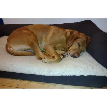 Pelíšek pro psa Pelíšek ortopedický DeLuxe Velikost: 75x50 cm