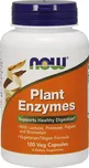 Now Foods Plant Enzymes