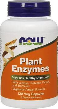 Přírodní produkt Now Foods Plant Enzymes