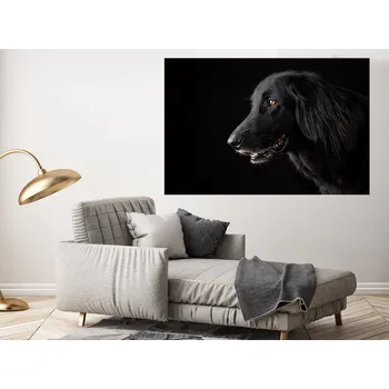 Samolepící dekorace Černý pes samolepka na zeď 72 x 48 cm