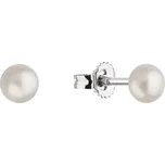 Evolution Group 21063.1