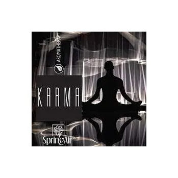 Spring Air Aerospray Karma 250 ml