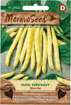 Semeno MoravoSeed Blanche fazol keříčkový 50 ks