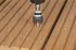 Bit Wolfcraft 6961000 1/4" torx 25 mm