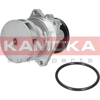 Motor automobilu Vodní čerpadlo, chlazení motoru KAMOKA T0059