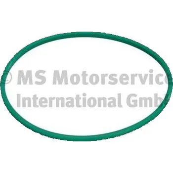 Palivový systém Těsnění, přípojka palivové nádrže PIERBURG 3.32038.01.0