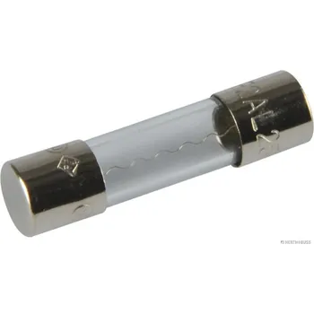 Autopojistky Pojistka HERTH+BUSS ELPARTS 50295050