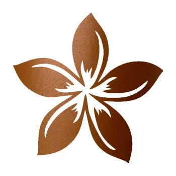 Samolepící dekorace Květina dekor 027 pravá plumérie (44 - měděná metalíza) SAMOLEPKA NA AUTO, NÁLEPKA, FÓLIE, POLEP, TUNING, VLASTNÍ TEXT, TISK, AUTOSAMOLEPKY.cz, POLEPY, OBRÁZEK, LOGO, 3D STICKERS