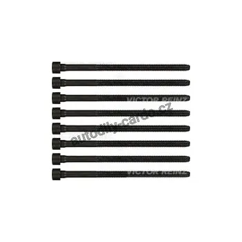 Těsnění motoru Sada šroubů pro hlavy válcu VICTOR REINZ (VR 14-32198-01)