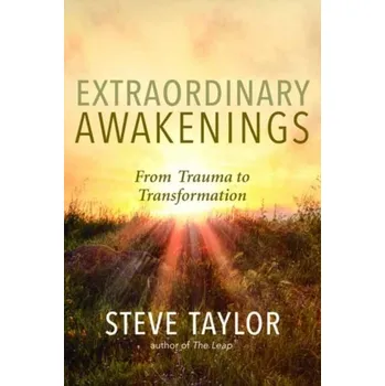 Extraordinary Awakenings - Steve Taylor