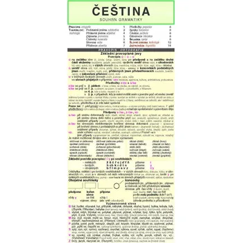 ČEŠTINA souhrn gramatiky - kolektiv autorů