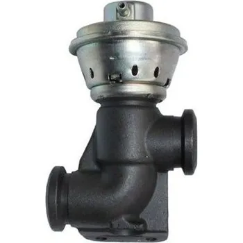 Ventil palivového systému AGR-Ventil MAGNETI MARELLI 571822112103