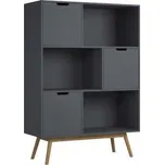 Knihovna Van antracit (Knihovna z masivu)