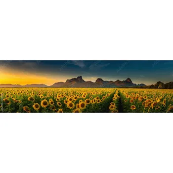 Obklad Skleněný obklad do kuchyně Slunečnice a hory 246066620