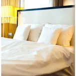 nanoSPACE Povlečení pro alergiky Nanobavlna - SET 1+2: 220x240 cm + 70x90 cm, protiroztočová nanotkanina + bavlněný satén