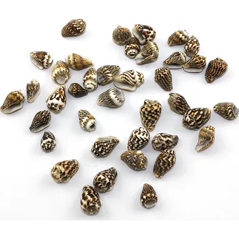 Dětské navlékací korálky Nassa mini mušle - pískově hnědá - cca 15 x 7 x 7 mm - 1 ks