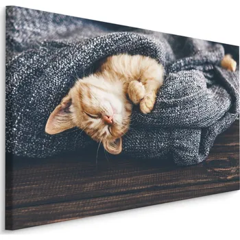 Dekorativní polštářek MyBestHome BOX Plátno Spící Kotě Varianta: 30x20