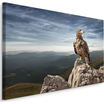 Obraz MyBestHome BOX Plátno Orel Na Vrcholu Hory Varianta: 30x20
