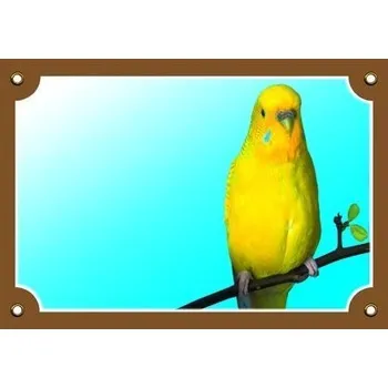 Značení Barevná cedulka Tady bydlím já! Andulka žlutá