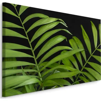 Obraz MyBestHome BOX Plátno Zelené Tropické Listy Na Černém Pozadí Varianta: 30x20
