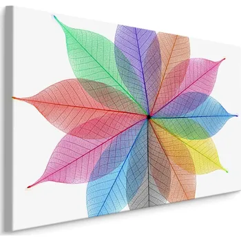 MyBestHome BOX Plátno Barevné Listy V Abstraktní Podobě Varianta: 30x20