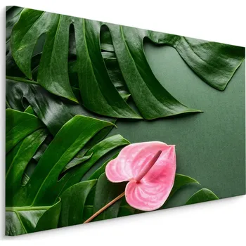 MyBestHome BOX Plátno Růžový Květ Na Pozadí Listů Monstera Varianta: 40x30