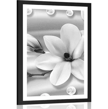Plakát Dovido Plakát s paspartou luxusní magnolie s perlami v černobílém provedení