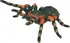 Figurka Collecta Tarantule 8 cm