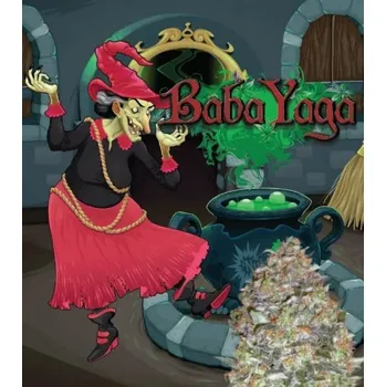 Semeno Nuka Seeds Babayaga Auto Balení: 3ks