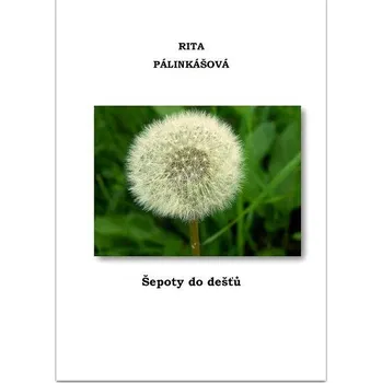 Kniha Šepoty do dešťů Ekniha