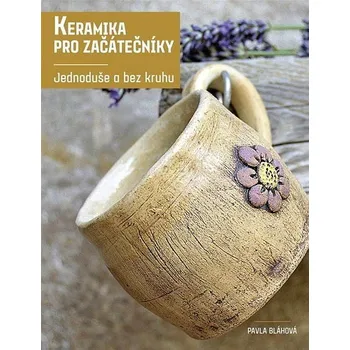 Kniha Keramika pro začátečníky Ekniha