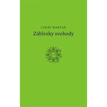 Kniha Záblesky svobody Ekniha
