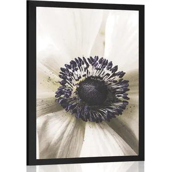 Plakát Dovido Plakát rozkvetlý květ