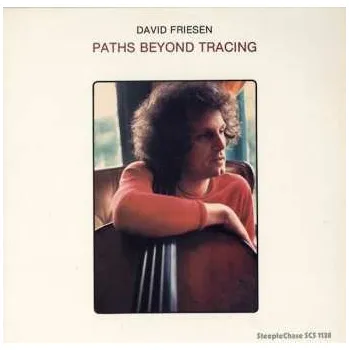 Zahraniční hudba LP David Friesen: Paths Beyond Tracing 2022