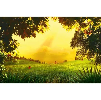 Fototapeta DIMEX | Vliesová fototapeta Kouzelná louka MS-5-1254 | 375 x 250 cm| zelená, žlutá, hnědá + Vliesová fototapeta na stěnu DIMEX Kouzelná louka MS51254 v rozměru 375 x 250 cm + lepidlo zdarma