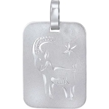 Přívěsek Stříbrný přívěsek znamení zvěrokruhu - Kozoroh SILVEGOB11430S01