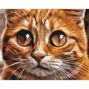 Malování podle čísel - Kočičí oči 2 Velikost: 40x50cm, Rámování: Pouze srolované plátno