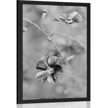 Plakát Dovido Plakát květiny v černobílém provedení