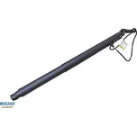 Pneumatická pružina, zavazadlový / nákladový prostor BUGIAD BRD50731