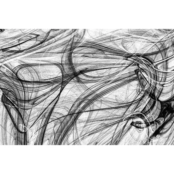 Fototapeta DIMEX | Vliesová fototapeta Černobílý design MS-5-2515 | 375 x 250 cm | bílá, černá + Vliesová fototapeta na stěnu DIMEX Černobílý design MS52515 v rozměru 375 x 250 cm + lepidlo zdarma