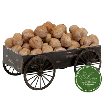 Lísková jádra blanšírovaná pražená 250g