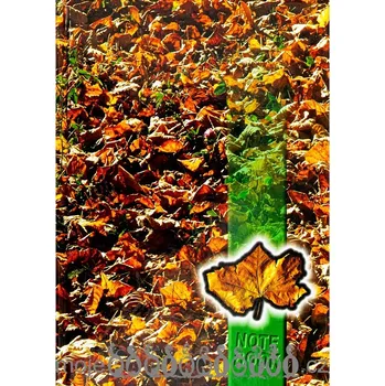 Kniha záznamní 55154 s rejstříkem A5/100 - Listí