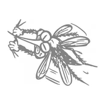 Samolepící dekorace SAMOLEPKA Komár 002 levá (17 - šedá) NA AUTO, NÁLEPKA, FÓLIE, POLEP, TUNING, VLASTNÍ TEXT, TISK, AUTOSAMOLEPKY.cz, POLEPY, OBRÁZEK, LOGO, SAMOLEPKY