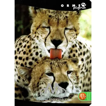 Sešit Sešit A5 nelinkovaný 540 Pigna Orme - Gepardi