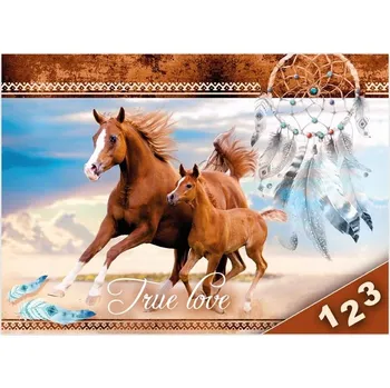 desky na sešit Desky na číslice - Koně 3