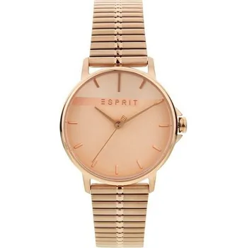 Hodinky Dámské hodinky Esprit ES1L065M0085 (Ø 32 mm)